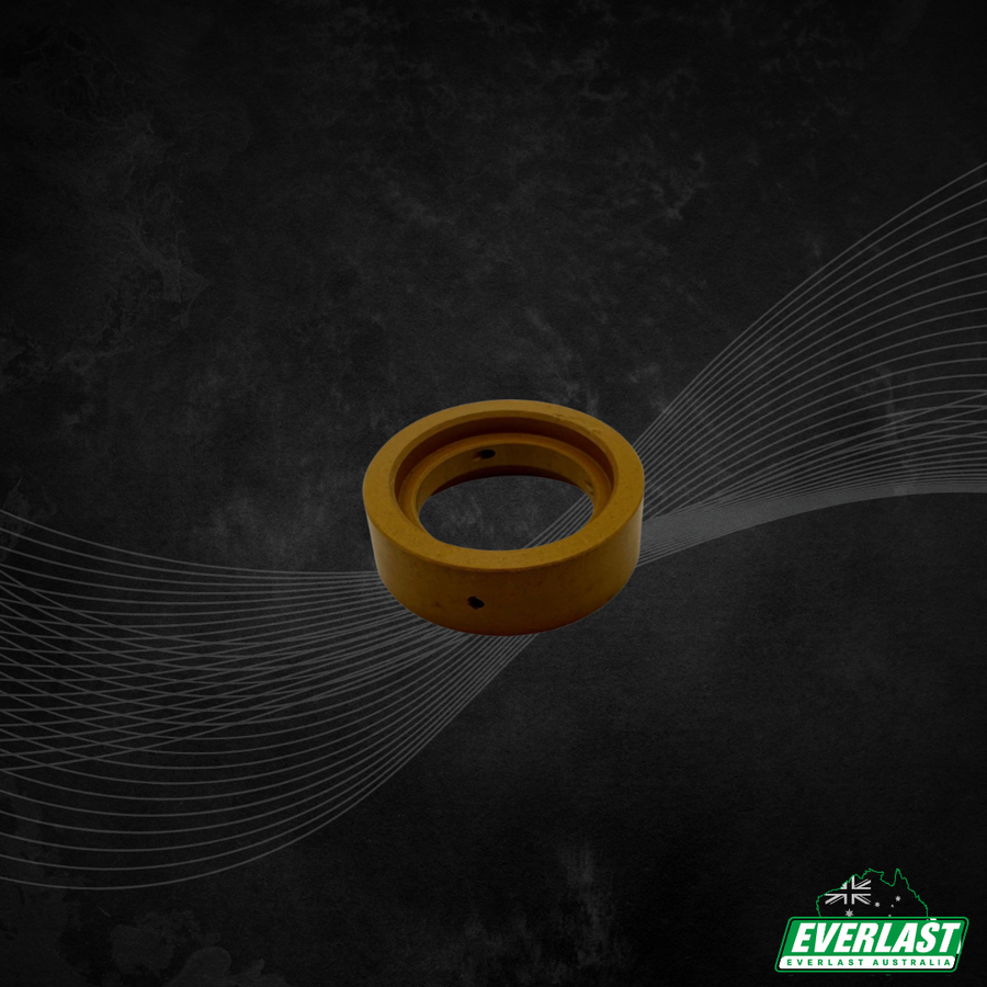 IPT-60 Swirl Ring/Diffuser