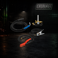Everlast Cyclone 263Pi